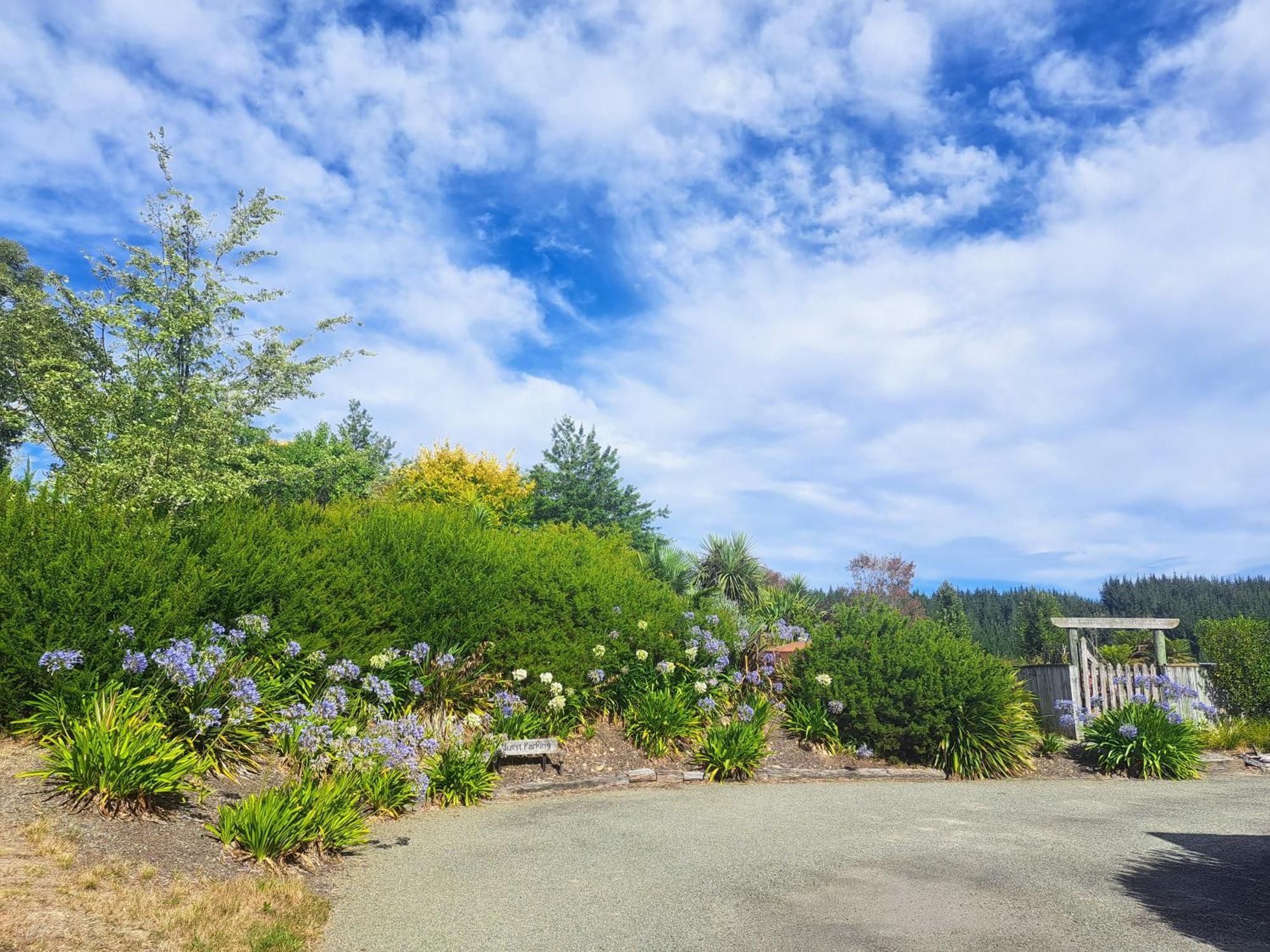 Golden Hills Farm Cottage ネルソン エクステリア 写真