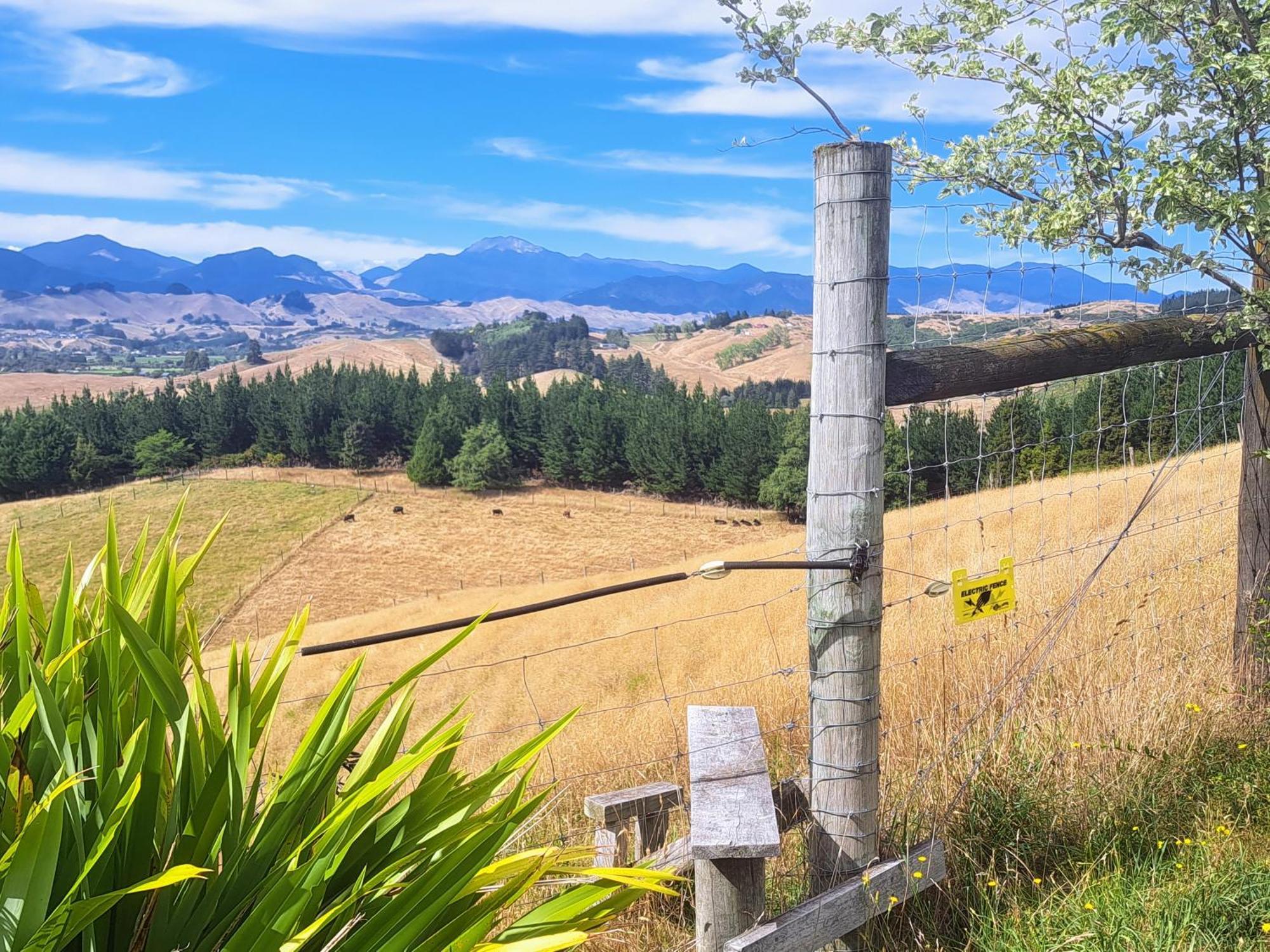 Golden Hills Farm Cottage ネルソン エクステリア 写真